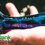 DankGeek Review